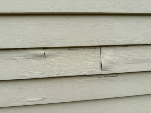 Reliable Panguitch, UT Siding Installation & Repair Solutions